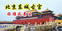 老熟女性生话x❌X❌B中国北京-东城古宫旅游风景区