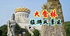 插逼动态免费小视频中国浙江-绍兴大香林旅游风景区
